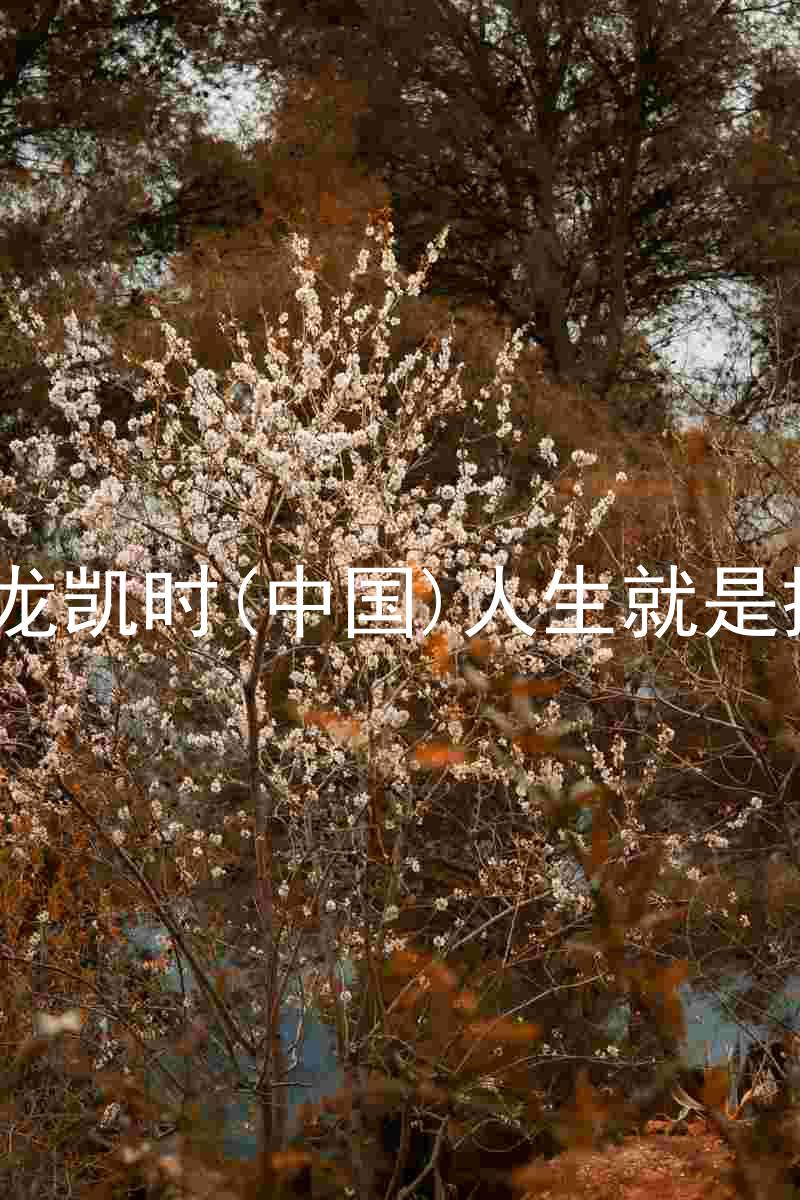 尊龙凯时(中国)人生就是搏!