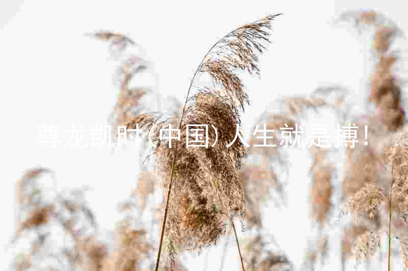 尊龙凯时(中国)人生就是搏!