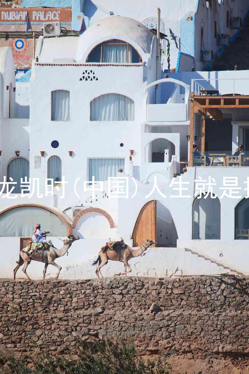 尊龙凯时(中国)人生就是搏!